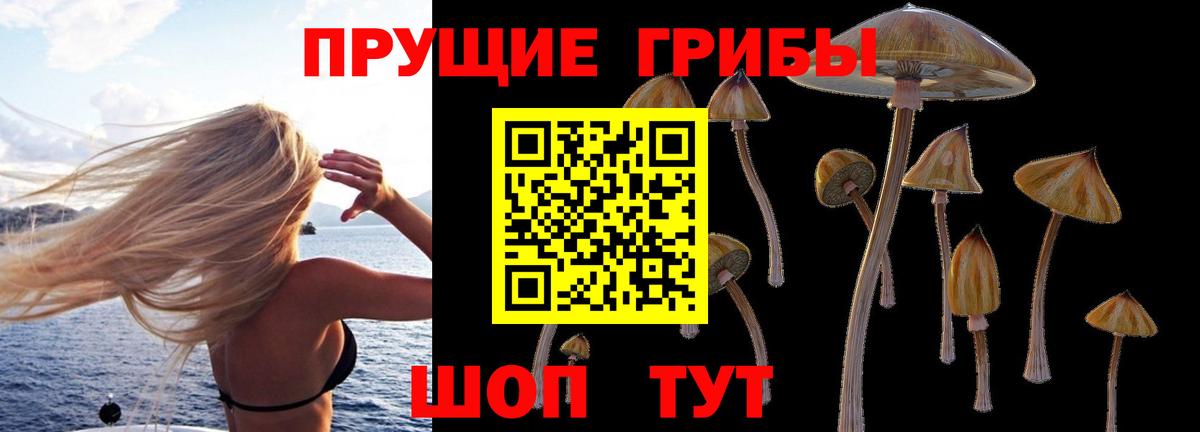 Галлюциногенные грибы мицелий  Вход с VPN  Чусовой  Галлюциногенные грибы мицелий 